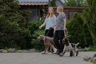 Kelly Ranch partners with Cecilian Partners to improve …